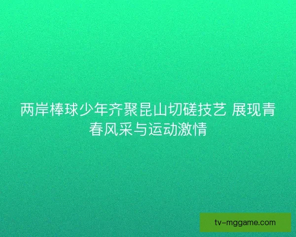 两岸棒球少年齐聚昆山切磋技艺 展现青春风采与运动激情 两岸棒球少年齐聚昆山切磋技艺 展现青春风采与运动激情