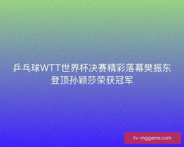 乒乓球WTT世界杯决赛精彩落幕樊振东登顶孙颖莎荣获冠军